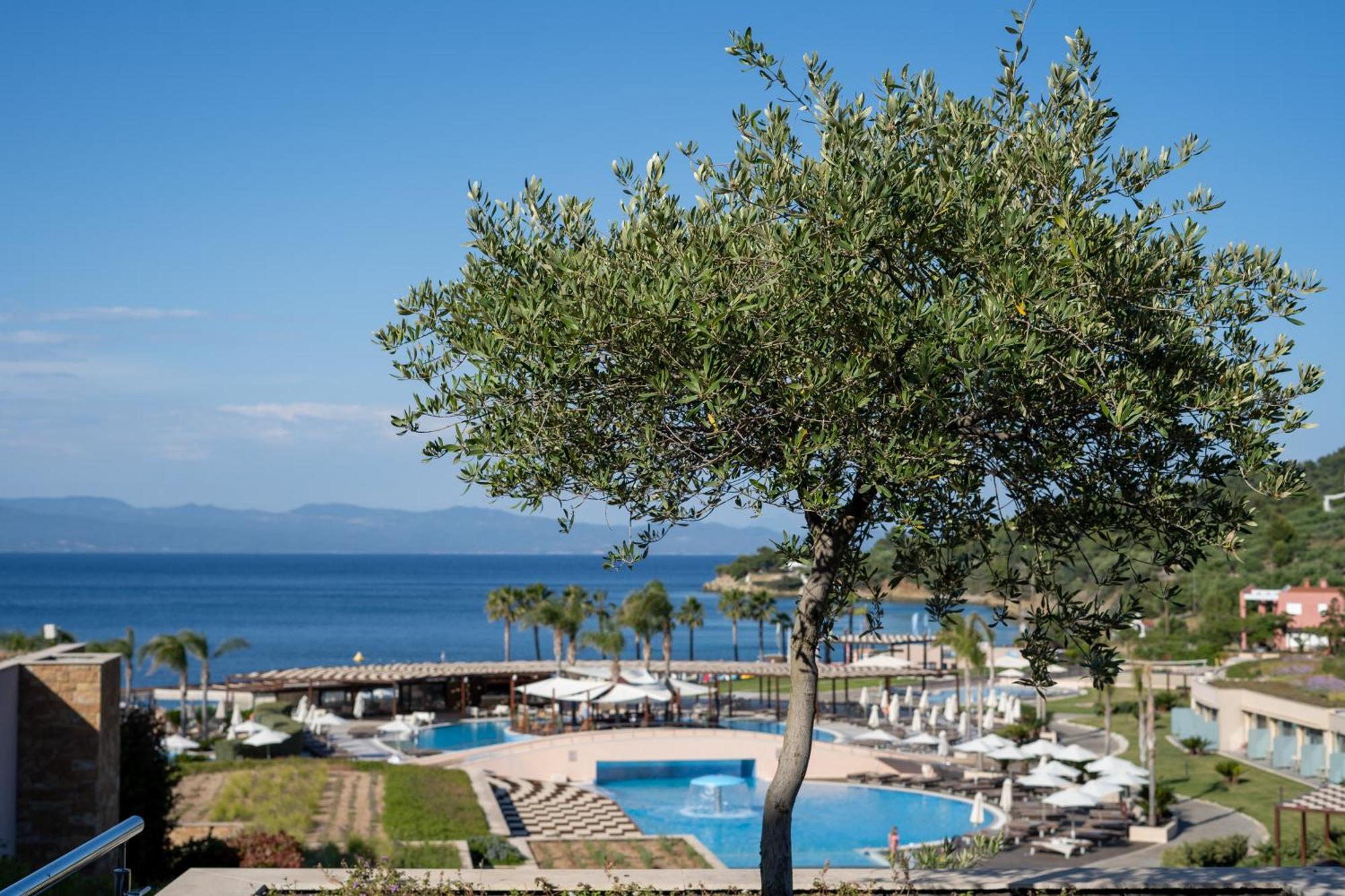 Miraggio Thermal Spa Resort Paliouri Exterior foto View of the bay of Nikiti